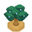 OranTreeBuddingVI XY.png