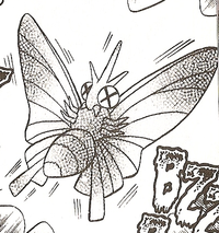 Tomio's Venomoth