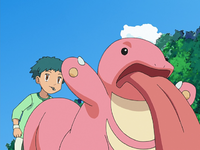 Trainer's Lickitung
