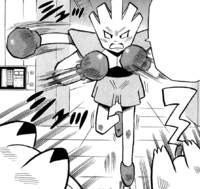 Giovanni's Hitmonchan