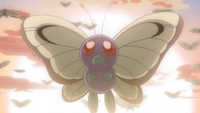 A wild Butterfree