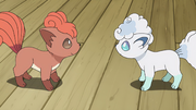 http://archives.bulbagarden.net/media/upload/thumb/3/32/Vulpix_anime.png/180px-Vulpix_anime.png