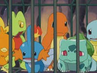 Professor Oak and Birch's Kanto and Hoenn starters