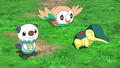 The Hisui region first partner Pokémon in the anime