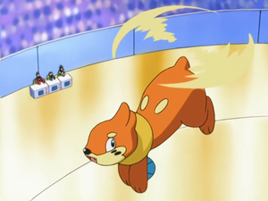300px-Flying_Buizel.png