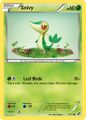 Another Snivy in the same pack? A foiled Snivy! Yes!