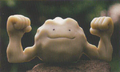 Geodude