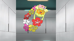 Nurse Joy Comfey.png