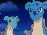 Lapras leader