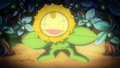 Meowth dressed as a Sunflora