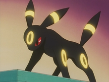 Gary Umbreon Flash.png