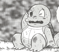 Giovanni's Squirtle
