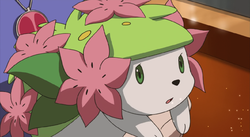 250px-Shaymin_M11_flowers.png