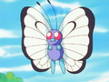 Ash's Butterfree