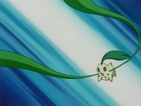 Ash Chikorita Vine Whip.png