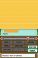 Interface in HeartGold and SoulSilver