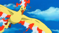Lawrence III's Moltres