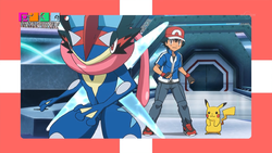 PokéTV XY129.png