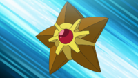 Misty's Staryu