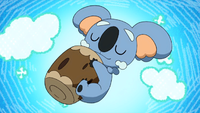 Samson Oak's Komala