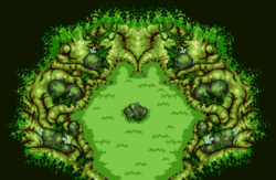 Transform Forest.png