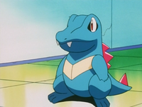 Professor Elm's Totodile