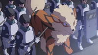 International Police's Arcanine