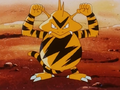 http://archives.bulbagarden.net/media/upload/thumb/5/5a/Drake_Electabuzz.png/120px-Drake_Electabuzz.png