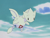 Riox's Togetic