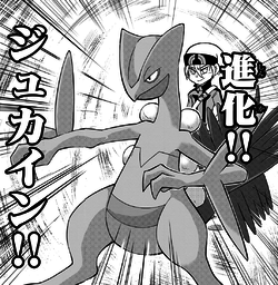 Alpha Sceptile CPIW.png