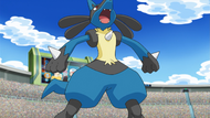 Cameron Lucario.png