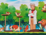 Professor Oak Laboratory Pidgeotto Spearow.png