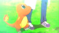 Alain's Charmander