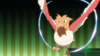 Red's Spearow