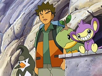 Ash's Torterra