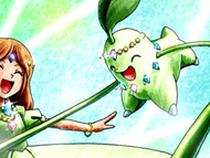 Hearthome Collection Chikorita.png