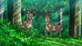Summer Form Sawsbuck in the anime