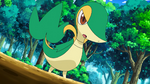 Trip Snivy.png