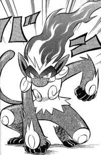 Yū Shirogane's Infernape