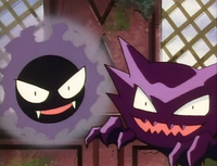 Captain's Gastly and Haunter
