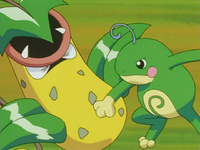 Misty Politoed DoubleSlap.png