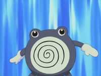 Vincent's Poliwhirl