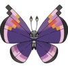 666Vivillon-Elegant.png