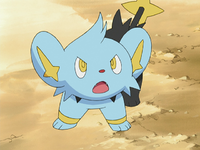 Landis's Shinx