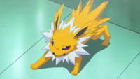 Red's Jolteon