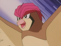 Benji's father's Pidgeotto