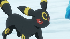 245px-Gary_Umbreon.png