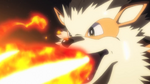 International Police Arcanine Flamethrower PG.png