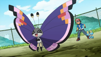 A wild Vivillon