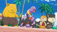Right side; in the middle between alolan rattata and alolan raticate